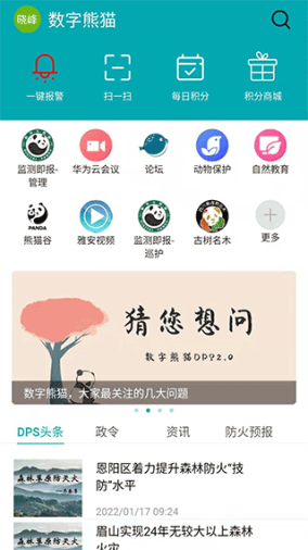 数字熊猫app